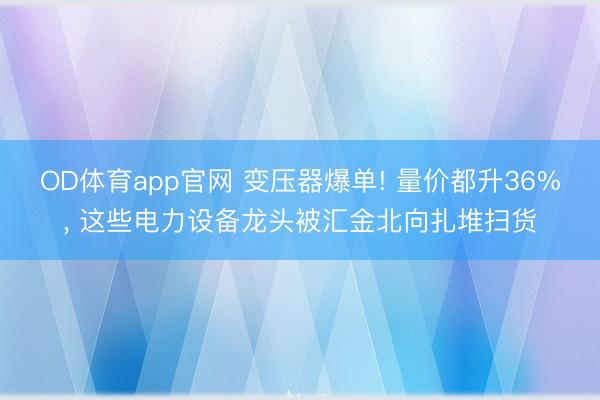 OD体育app官网 变压器爆单! 量价都升36%, 这些电力设备龙头被汇金北向扎堆扫货