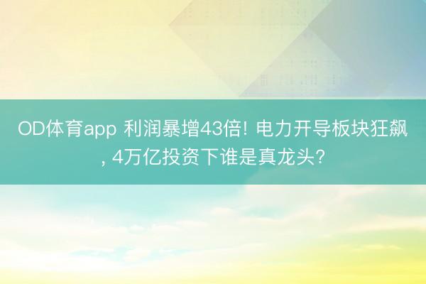 OD体育app 利润暴增43倍! 电力开导板块狂飙, 4万亿投资下谁是真龙头?