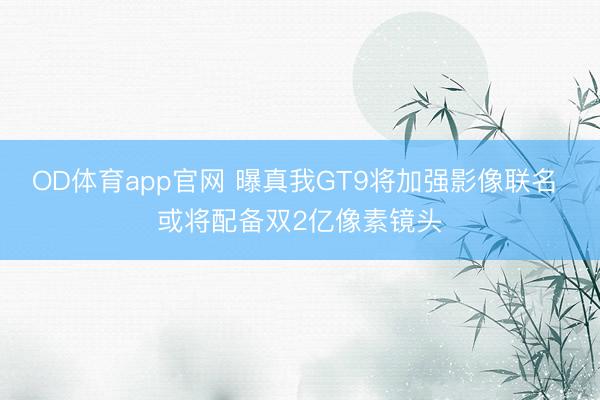 OD体育app官网 曝真我GT9将加强影像联名 或将配备双2亿像素镜头