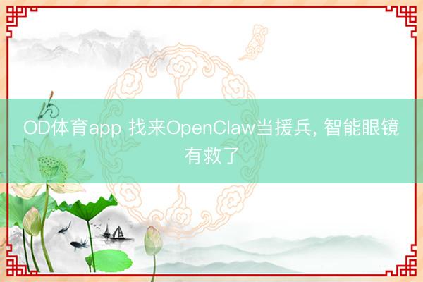 OD体育app 找来OpenClaw当援兵, 智能眼镜有救了
