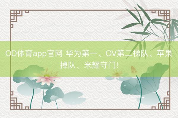 OD体育app官网 华为第一、OV第二梯队、苹果掉队、米耀守门!