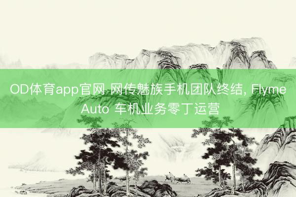 OD体育app官网 网传魅族手机团队终结, Flyme Auto 车机业务零丁运营