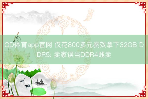 OD体育app官网 仅花800多元奏效拿下32GB DDR5: 卖家误当DDR4贱卖