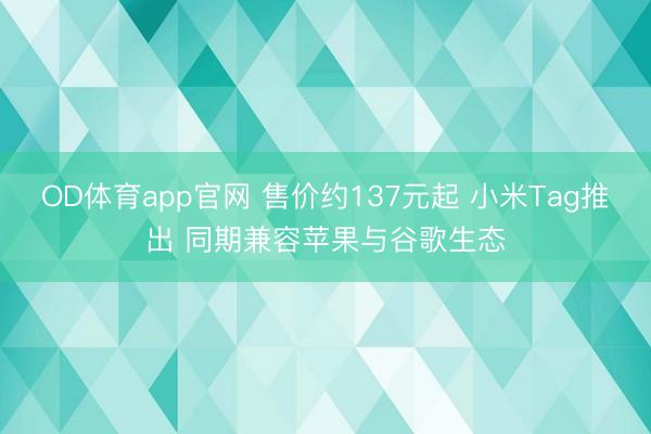 OD体育app官网 售价约137元起 小米Tag推出 同期兼容苹果与谷歌生态