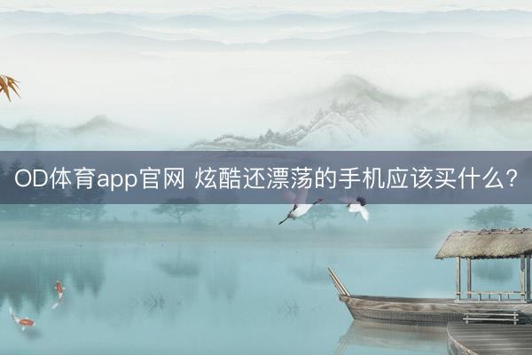 OD体育app官网 炫酷还漂荡的手机应该买什么?