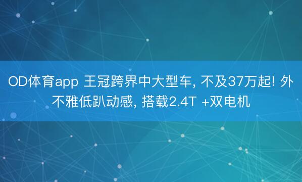 OD体育app 王冠跨界中大型车, 不及37万起! 外不雅低趴动感, 搭载2.4T +双电机