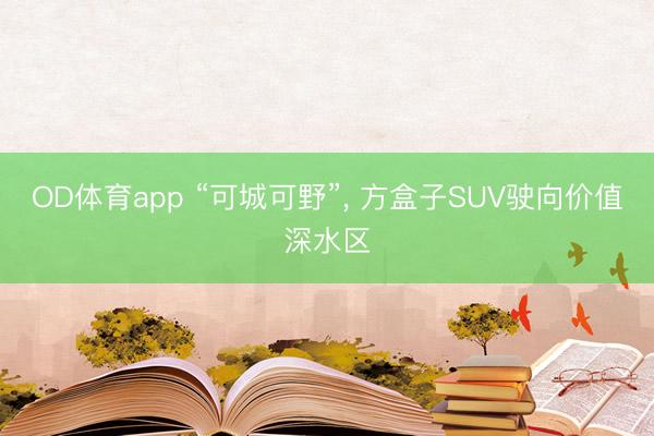 OD体育app “可城可野”, 方盒子SUV驶向价值深水区