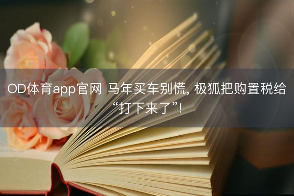 OD体育app官网 马年买车别慌, 极狐把购置税给“打下来了”!