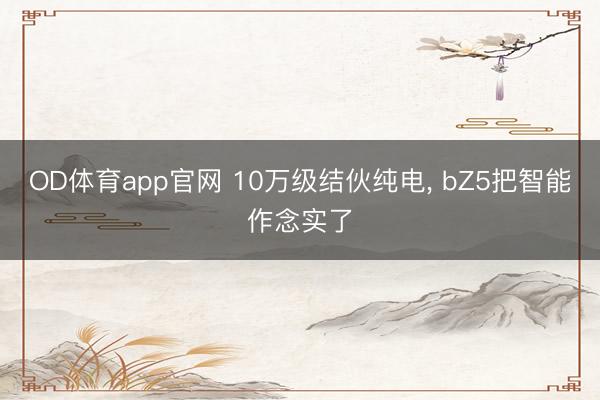OD体育app官网 10万级结伙纯电, bZ5把智能作念实了
