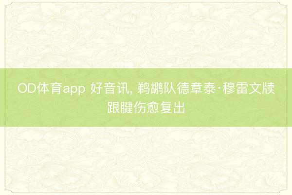 OD体育app 好音讯, 鹈鹕队德章泰·穆雷文牍跟腱伤愈复出