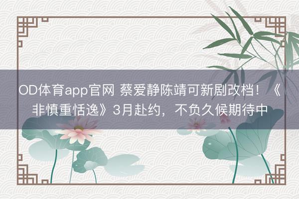 OD体育app官网 蔡爱静陈靖可新剧改档！《非慎重恬逸》3月赴约，不负久候期待中