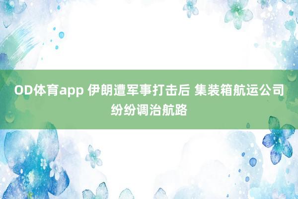 OD体育app 伊朗遭军事打击后 集装箱航运公司纷纷调治航路