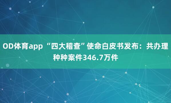 OD体育app “四大稽查”使命白皮书发布：共办理种种案件346.7万件