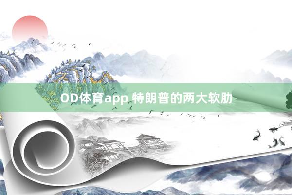 OD体育app 特朗普的两大软肋