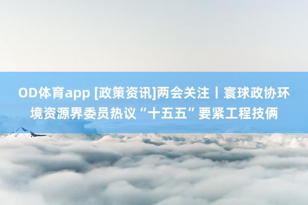 OD体育app [政策资讯]两会关注丨寰球政协环境资源界委员热议“十五五”要紧工程技俩
