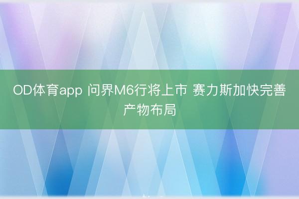 OD体育app 问界M6行将上市 赛力斯加快完善产物布局