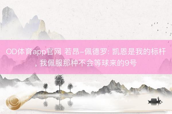 OD体育app官网 若昂-佩德罗: 凯恩是我的标杆, 我佩服那种不会等球来的9号
