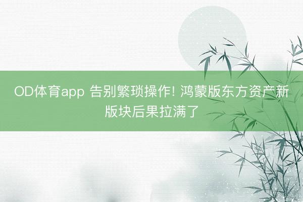 OD体育app 告别繁琐操作! 鸿蒙版东方资产新版块后果拉满了