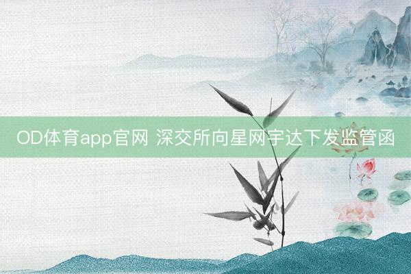 OD体育app官网 深交所向星网宇达下发监管函
