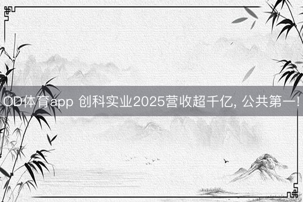 OD体育app 创科实业2025营收超千亿, 公共第一!