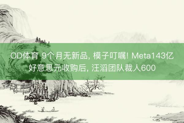 OD体育 9个月无新品, 模子叮嘱! Meta143亿好意思元收购后, 汪滔团队裁人600
