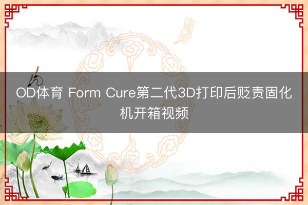 OD体育 Form Cure第二代3D打印后贬责固化机开箱视频