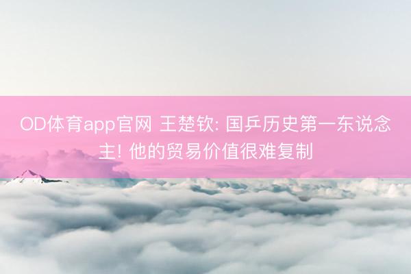 OD体育app官网 王楚钦: 国乒历史第一东说念主! 他的贸易价值很难复制