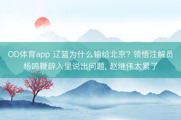 OD体育app 辽篮为什么输给北京? 领悟注解员杨鸣鞭辟入里说出问题, 赵继伟太累了