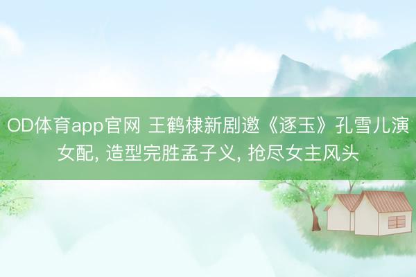 OD体育app官网 王鹤棣新剧邀《逐玉》孔雪儿演女配, 造型完胜孟子义, 抢尽女主风头