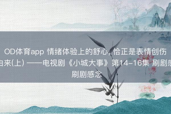 OD体育app 情绪体验上的舒心, 恰正是表情创伤的由来(上) ——电视剧《小城大事》第14-16集 刷剧感念