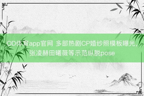 OD体育app官网 多部热剧CP婚纱照模板曝光,张凌赫田曦薇等示范纵脱pose