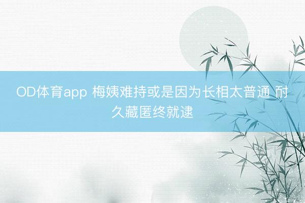 OD体育app 梅姨难持或是因为长相太普通 耐久藏匿终就逮