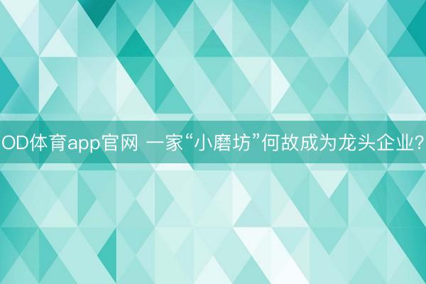 OD体育app官网 一家“小磨坊”何故成为龙头企业？