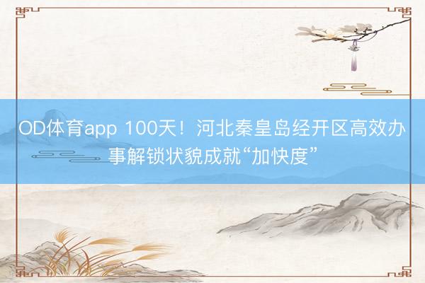 OD体育app 100天！河北秦皇岛经开区高效办事解锁状貌成就“加快度”