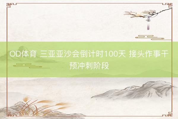 OD体育 三亚亚沙会倒计时100天 接头作事干预冲刺阶段