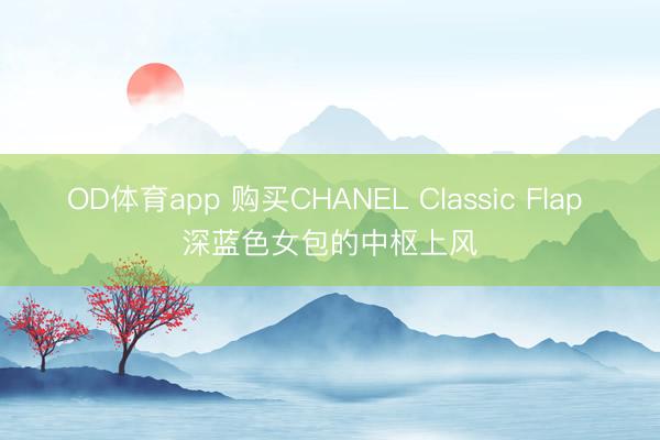 OD体育app 购买CHANEL Classic Flap 深蓝色女包的中枢上风