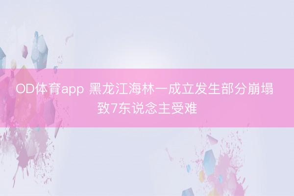 OD体育app 黑龙江海林一成立发生部分崩塌 致7东说念主受难