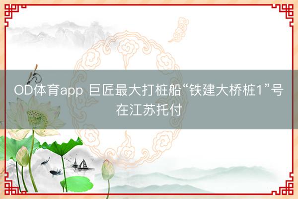 OD体育app 巨匠最大打桩船“铁建大桥桩1”号在江苏托付