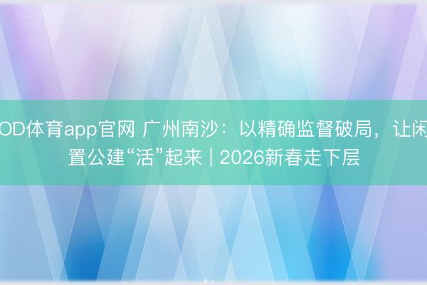 OD体育app官网 广州南沙:以精确监督破局,让闲置公建“活”起来 | 2026新春走下层