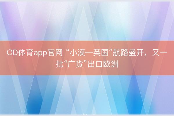 OD体育app官网 “小漠—英国”航路盛开，又一批“广货”出口欧洲