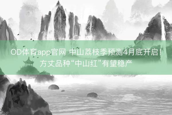 OD体育app官网 中山荔枝季预测4月底开启!方丈品种“中山红”有望稳产