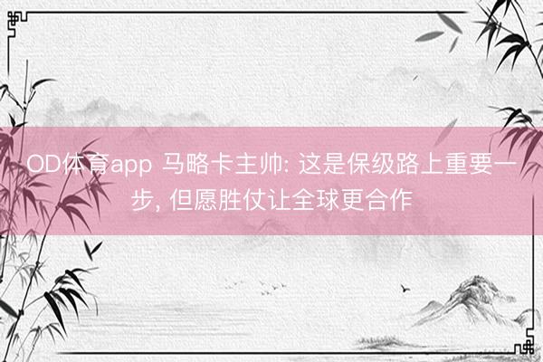 OD体育app 马略卡主帅: 这是保级路上重要一步, 但愿胜仗让全球更合作