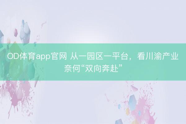 OD体育app官网 从一园区一平台，看川渝产业奈何“双向奔赴”