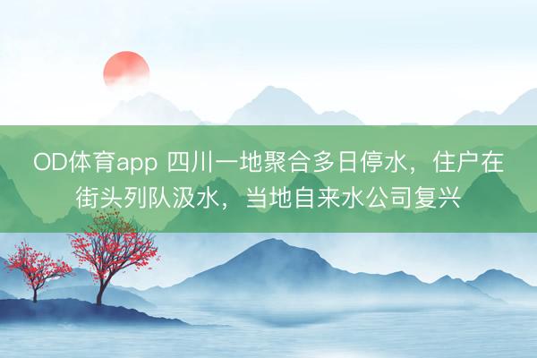OD体育app 四川一地聚合多日停水，住户在街头列队汲水，当地自来水公司复兴