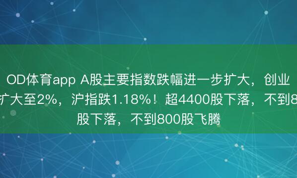 OD体育app A股主要指数跌幅进一步扩大,创业板指跌幅扩大至2%,沪指跌1.18%!超4400股下落,不到800股飞腾