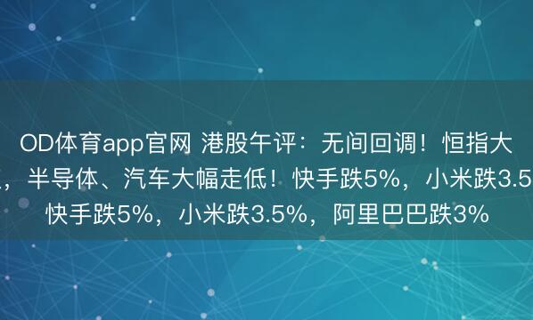 OD体育app官网 港股午评：无间回调！恒指大跌2%失守24000点，半导体、汽车大幅走低！快手跌5%，小米跌3.5%，阿里巴巴跌3%