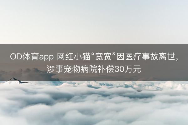 OD体育app 网红小猫“宽宽”因医疗事故离世，涉事宠物病院补偿30万元