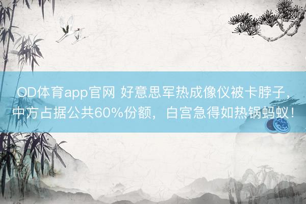 OD体育app官网 好意思军热成像仪被卡脖子，中方占据公共60%份额，白宫急得如热锅蚂蚁！
