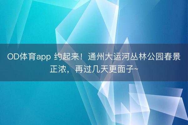 OD体育app 约起来!通州大运河丛林公园春景正浓,再过几天更面子~