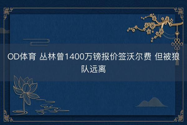 OD体育 丛林曾1400万镑报价签沃尔费 但被狼队远离